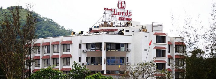 Patang Lords Eco Inn - Saputara 01.jpg